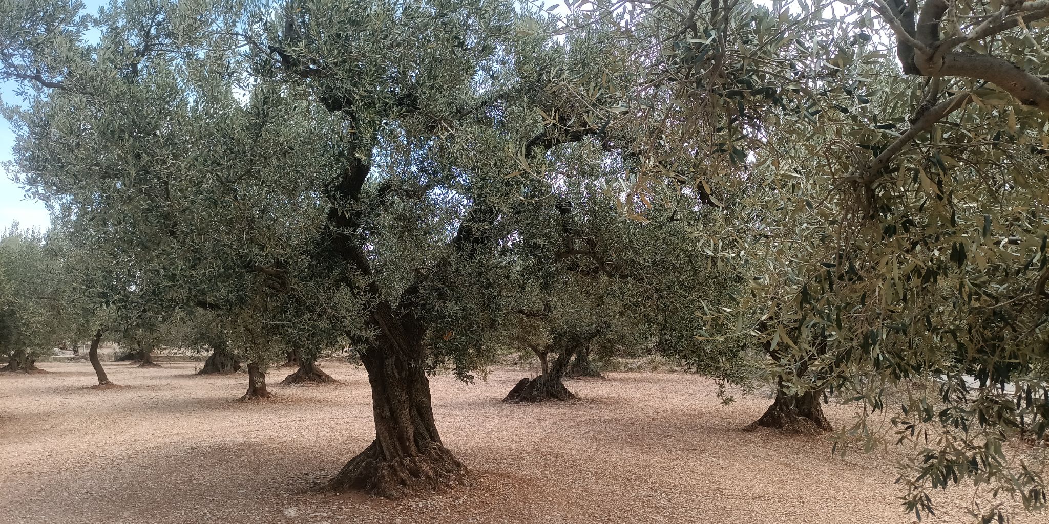 IMG 20240425 131303 333